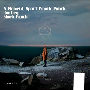 A Moment Apart (Shark Punch Extended Bootleg)