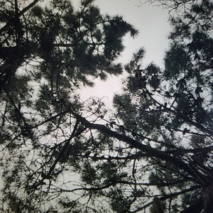 Sinto (Acoustic Version)