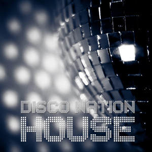 Disco Nation (DeeJay Mix Selection)