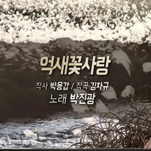 억새꽃 사랑 (MR)