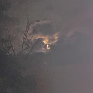 一些经历（Prod.Xouns)