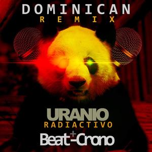 Panda Dominican