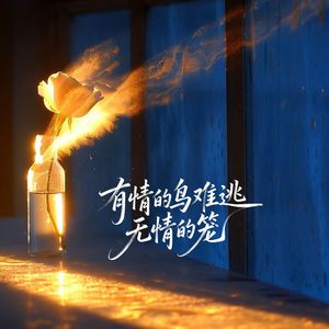 有情的鸟难逃无情的笼