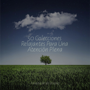 Islas Nebulosas