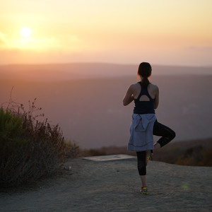 Flexibility’s Fading Flourish