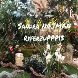 Ryferzuppp13_mastered.mp3