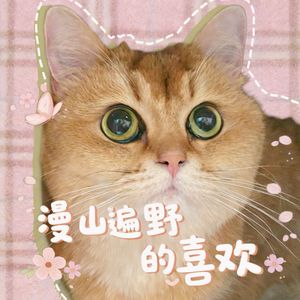 漫山遍野的喜欢