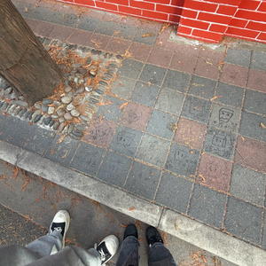 一半一半（原声嗓露出版