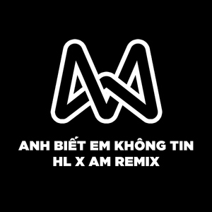 Anh Biết Em Không Tin (HL Remix)