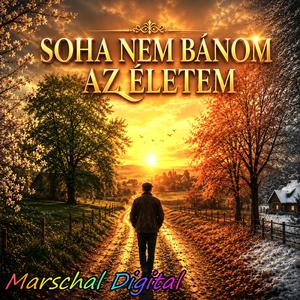 Szép estét szép világ