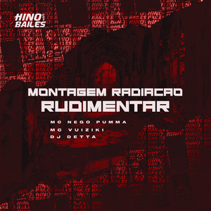 Montagem Radiação Rudimentar