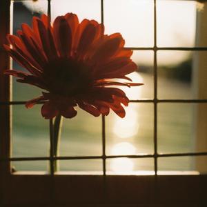 Ghost in My Playlist