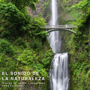 Grabando Naturaleza