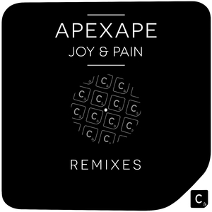 Joy & Pain (Carl Bee Remix)