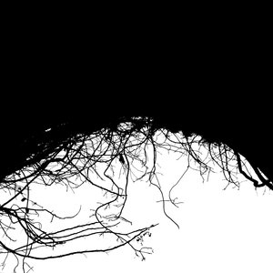 Variable Dimensions 1-6