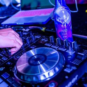 2021 猪之歌 经典车载高性能DJ