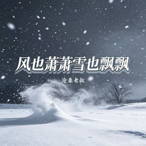 风也萧萧雪也飘飘