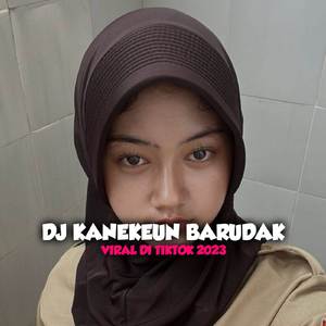 DJ PERGI HILANG DAN LUPAKAN MENGKANE V2