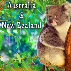 Australia, Department Store with Hum of Voices, Footsteps & Register