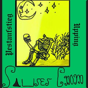 Der Beginn des Pesttanzes