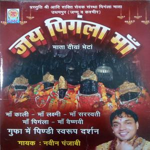 Pingala Mata Lakshmi Vaishno Sarswati Mahakali