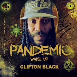 Pandemic Wake Up