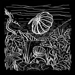 ॐ त्र्य॑म्बकं