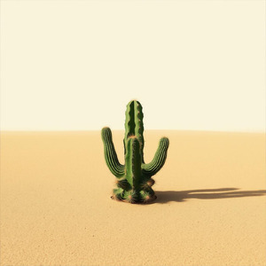 信じている未来