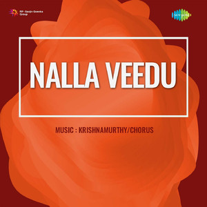 Rubber Balloon Paaru