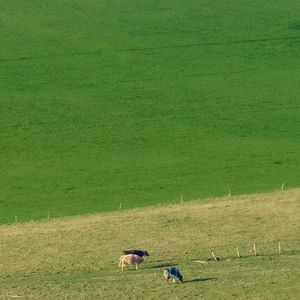 关于我爱你 (Live cover by:PlusNine)