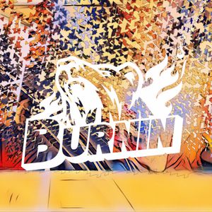 Whiskey Glasses x Thief (BURNIN REMAKE)