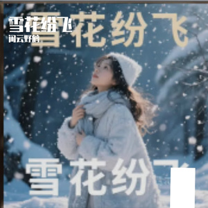 雪花纷飞