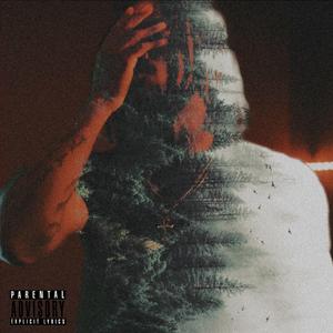 HOLSTER (feat. Dee Billz & Leeky Jack)