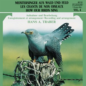 Wiesenbord (Feldgrille, Mönchsgrasmücke, Amsel, Rabenkrähe) [4]