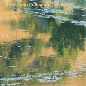 Adagio for Strings and Organ in G Minor