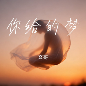 你给的梦
