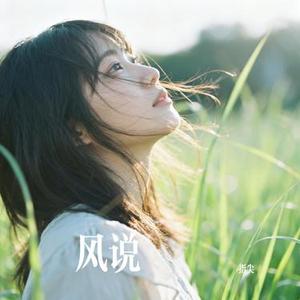 风说 (Cover 陈默默)