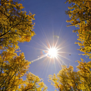 New Ways (Original Mix)