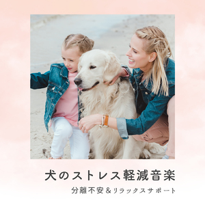 愛犬と共に過ごす静寂