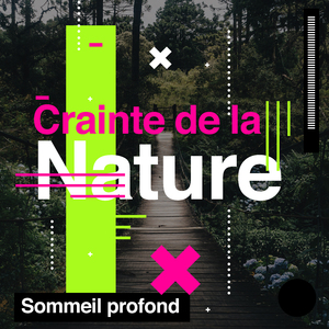 Birds in the Background