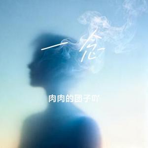 一念 (Cover 张紫宁 & 李鑫一)