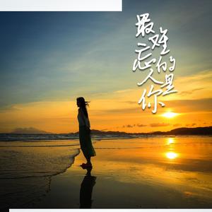 最难忘的人是你 (DJ版)