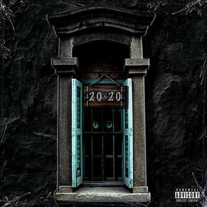 20•20
