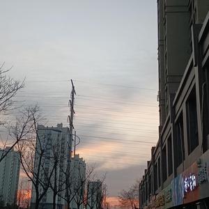 网易云