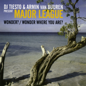 Wonder? (Chris Raven Remix)