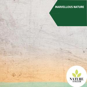 The Fire Longs for Feeding