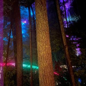 See Below (feat. Deadstar888 & Javier)