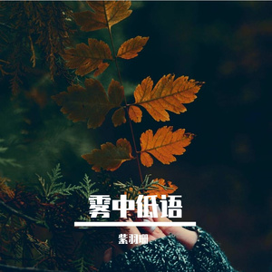 雾中低语