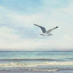 无羁（钢琴曲）