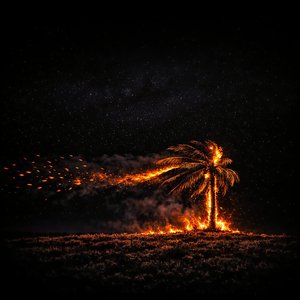 Tropical Fire